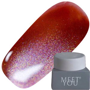 �W�F���l�C�� �J���[�W�F�� MEET YOU MG-D Magnet 2.5g 06 �䂤�p�P�b�g MEETYOU Meet you Meetyou �g�����X�^�[ �}�O�l�b�g�W�F�� �}�O�l�b�g�l�C�� MG-D Series