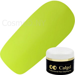 y11/30 X|Cg10{zWFlC J[WF JWF Calgel J[WF4g GR03S sX^`IO[ }bg O[