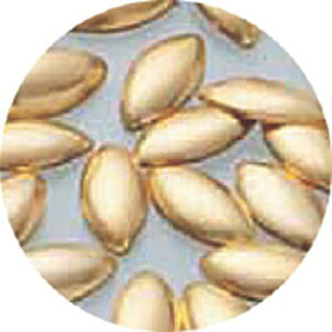 y11/30 X|Cg10{zA[g X^bY lC{ NAILLABO ^V[h S[h 50 lCp[cyXi3980~iꗣ͐ō9800~jȏőzyV39Vbv