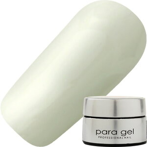 WFlC J[WF pWF paragel A[gJ[WF2g AMD42 Z 䂤pPbg }bgyXi3980~iꗣ͐ō9800~jȏőzyV39Vbv