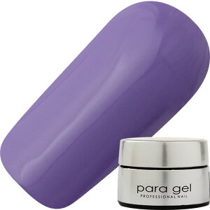 y12/5 X|Cg10{!yVX[p[SALEJÒzWFlC J[WF pWF paragel A[gJ[WF4g AR3 p[v 䂤pPbg }bg