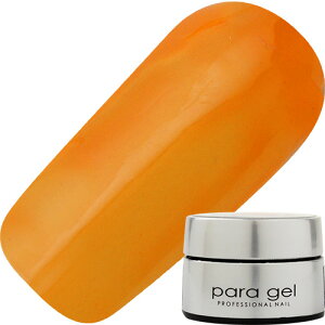 WFlC J[WF pWF paragel J[WF4g C001 NAIW 䂤pPbg VA[