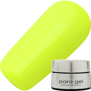 ジェルネイル カラージェル パラジェル paragel デザイナーズカラージェル4g DNE04 ライムイエロー ゆうパケット マット ネオン