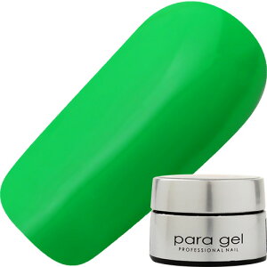 ジェルネイル カラージェル パラジェル paragel デザイナーズカラージェル4g DNE05 ライム ゆうパケット マット ネオン