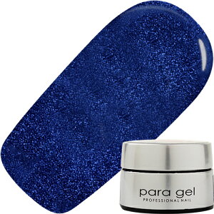 y11/15 X|Cg10{zWFlC J[WF pWF paragel J[WF4g G019 zXR[v 䂤pPbg