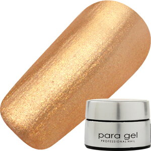 WFlC J[WF pWF paragel J[WF4g GP01 S[fVhE 䂤pPbg p[