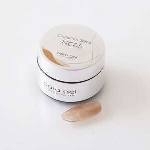 y10/30 X|Cg10{zWFlC J[WF pWF para gel fUCi[YJ[WF NC05 ViXpCX4g 䂤pPbg