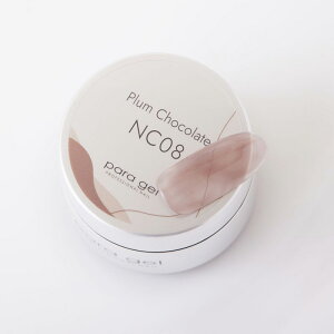 WFlC J[WF pWF para gel fUCi[YJ[WF NC08 v`R[g4g 䂤pPbg