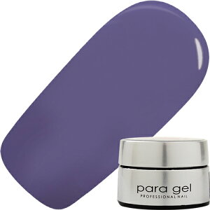 WFlC J[WF pWF paragel J[WF4g S065 gCCgAWXg 䂤pPbg