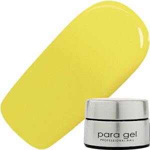 WFlC J[WF pWF paragel SETOYAMA AIRI V[X[J[WF4g ST22 V[X[eB[o^[ 䂤pPbg ς炶 ˎR