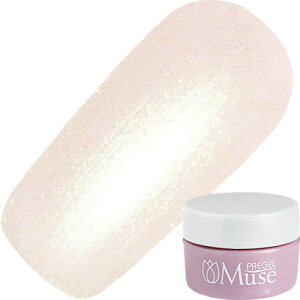 y11/15 X|Cg10{zWFlC J[WF PREGEL vWF vh[ ~[Y 3g P661 [CgG`[h 䂤pPbgyXi3980~iꗣ͐ō9800~jȏő