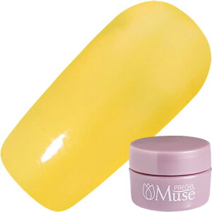 WFlC J[WF vWF PREGEL vWF~[Y 3g S066 NACG[ 䂤pPbgyXi3980~iꗣ͐ō9800~jȏőzyV39Vbv