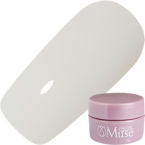 �W�F���l�C�� �J���[�W�F�� �v���W�F�� PREGEL �v���W�F���~���[�Y 3g S084 �i�`���������F�[�� �䂤�p�P�b�g�y���X���i3980�~�i���ꗣ���͐ō�9800�~�j�ȏ�ő��������z�y�V39�V���b�v
