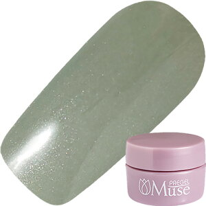 WFlC J[WF vWF PREGEL vWF~[Y 3g P346 G 䂤pPbgyXi3980~iꗣ͐ō9800~jȏőzyV39Vbv