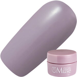 �W�F���l�C�� �J���[�W�F�� �v���W�F�� PREGEL �v���W�F���~���[�Y 3g S284 ���F�[�����[�u �䂤�p�P�b�g�y���X���i3980�~�i���ꗣ���͐ō�9800�~�j�ȏ�ő��������z�y�V39�V���b�v