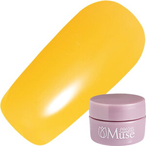 WFlC J[WF vWF PREGEL vWF~[Y 3g S325 pbVt[cT[ 䂤pPbgyXi3980~iꗣ͐ō9800~jȏőzyV39Vbv