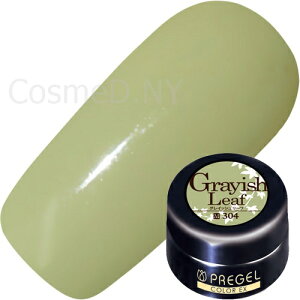 WFlC J[WF vWF PREGEL J[EX 4g 304 OCbV[t 䂤pPbgyXi3980~iꗣ͐ō9800~jȏőzyV39Vbv