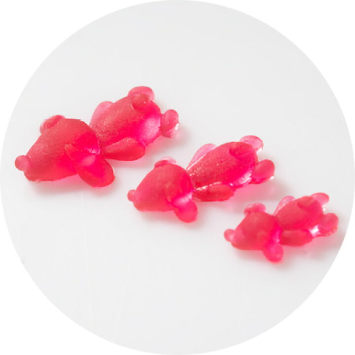 楽天市場 プリアンファ Preanfa なかやまちえこコラボ シリコンモールド011 寝そべり垂れ耳犬 ネコポス対応 アート用具 ジェル小物 レジンクラフト ジェルネイルアート コスメ ドラッグｎｙ