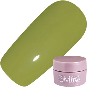 WFlC J[WF vWF PREGELvWF~[Y 3g M1041 pbgO[ 䂤pPbgyXi3980~iꗣ͐ō9800~jȏőzyV39Vbv