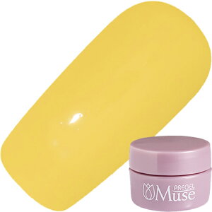 WFlC J[WF vWF PREGELvWF~[Y 3g M1057 Ђ܂_X 䂤pPbgyXi3980~iꗣ͐ō9800~jȏőzyV39Vbv