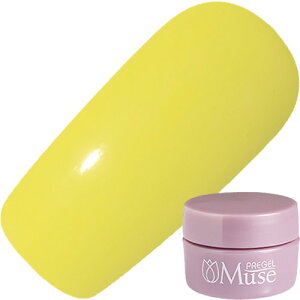ジェルネイル カラージェル プリジェル PREGEL プリジェルミューズ 3g M1065 リズムライム ゆうパケット【当店商品3980円(沖縄離島は税込9800円)以上で送料無料】楽天39ショップ