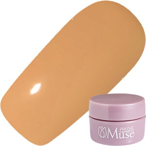 y12/10 X|Cg10{!12/11 1:59܂ŊyVX[p[SALEJÁzWFlC J[WF vWF PREGELvWF~[Y 3g M1074 N[e 䂤pPbgyXi3980~iꗣ