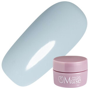 WFlC J[WF vWF PREGEL b`WF[gV[Y vWF ~[Y3g M1109 t[Yl 䂤pPbg pregel Ղ肶 richgelatoyXi3980~iꗣ͐