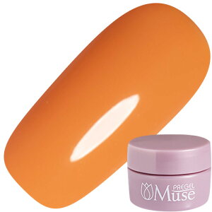 WFlC J[WF vWF PREGEL b`WF[gV[Y vWF ~[Y3g M1113 }_IW 䂤pPbg pregel Ղ肶 richgelatoyXi3980~iꗣ