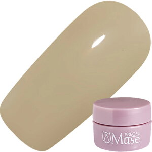 �W�F���l�C�� �J���[�W�F�� �v���W�F�� PREGEL �v���W�F���~���[�Y 3g S1035 �I���K�m�x�[�W�� �䂤�p�P�b�g�y���X���i3980�~�i���ꗣ���͐ō�9800�~�j�ȏ�ő��������z�y�V39�V���b�v