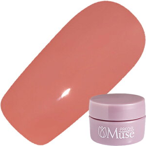 y12/10 X|Cg10{!12/11 1:59܂ŊyVX[p[SALEJÁzWFlC J[WF vWF PREGEL vWF~[Y 3g S1081 NbV[rX`F 䂤pPbgyXi3980~i