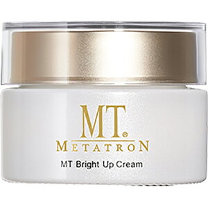 y12/10 X|Cg10{!12/11 1:59܂ŊyVX[p[SALEJÁzXLPA N[ MT^g MT METATRON MT uCgAbvEN[ 40g tFCX MTRXeBNX