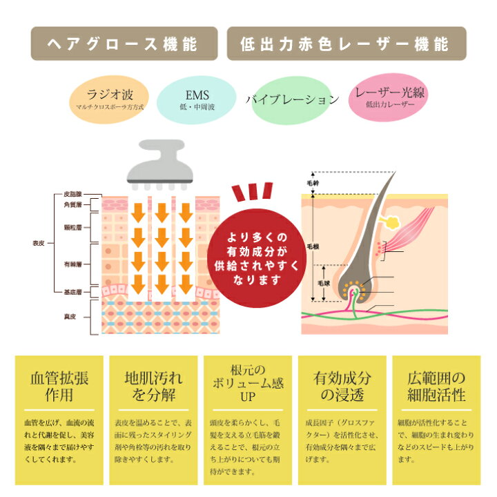 楽天市場】ヘアケア 頭皮ケア Haircure ヘアキュア RADIO PHOTRATION 