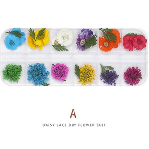 A[g  hCt[A 䂤pPbg  ΂ lCA[gyXi3980~iꗣ͐ō9800~jȏőzyV39Vbv