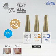 【3/4 20:00~3/11 1:59 楽天スーパーSALE開催中当店ポイント10倍】ダブリューエスピーティー WSPT フラッ…