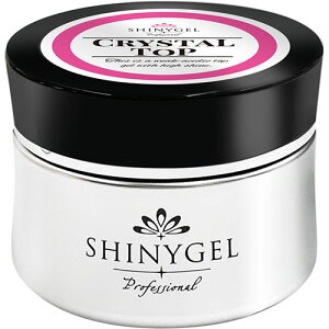 y11/30 X|Cg10{zWFlC NAWF VCj[WF SHINY GEL professional NX^gbv25g ႢɁ[ gbvWF