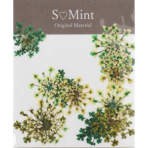 y11/25 X|Cg10{!ubNtCf[JÒzA[g hCt[ GX~g Smint Lace Flower ColorSelect Green 䂤pPbg  SMINT lC ANZT[ Ntg  BJ[ZN