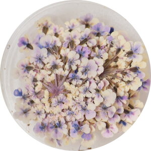 A[g hCt[ GX~g Smint Lace Flower 24Wistaria 䂤pPbg  SMINT lC ANZT[ Ntg  EBX^A BV[Y LaceFloweryXi3980~iꗣ͐ō9800~