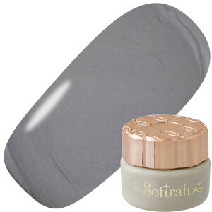 WFlC J[WF \tB Sofirah J[WF 3g G308M 䂤pPbgyXi3980~iꗣ͐ō9800~jȏőzyV39Vbv