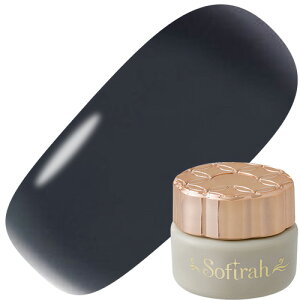 WFlC J[WF \tB Sofirah J[WF 3g G311M 䂤pPbgyXi3980~iꗣ͐ō9800~jȏőzyV39Vbv