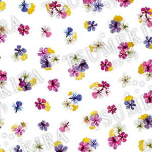 A[g lCV[ cL TSUMEKIRA noble hCt[Ƌ1 䂤pPbg ^bN t[yXi3980~iꗣ͐ō9800~jȏőzyV39Vbv