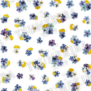 A[g lCV[ cL TSUMEKIRA noble hCt[Ƌ3 u[ 䂤pPbg ߂ ˂邵[yXi3980~iꗣ͐ō9800~jȏőzyV39Vbv