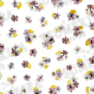 A[g lCV[ cL TSUMEKIRA noble hCt[Ƌ2 䂤pPbg ^bN t[yXi3980~iꗣ͐ō9800~jȏőzyV39Vbv