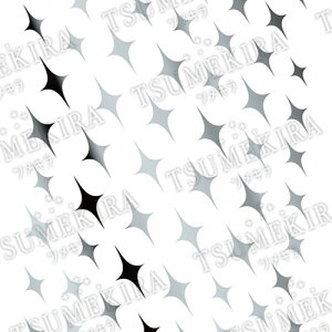 �A�[�g �l�C���V�[�� �c���L�� TSUMEKIRA KAI produce 9 Sparkly silver �X�p�[�N���[ �V���o�[(�W�F����p) �䂤�p�P�b�g �߂���