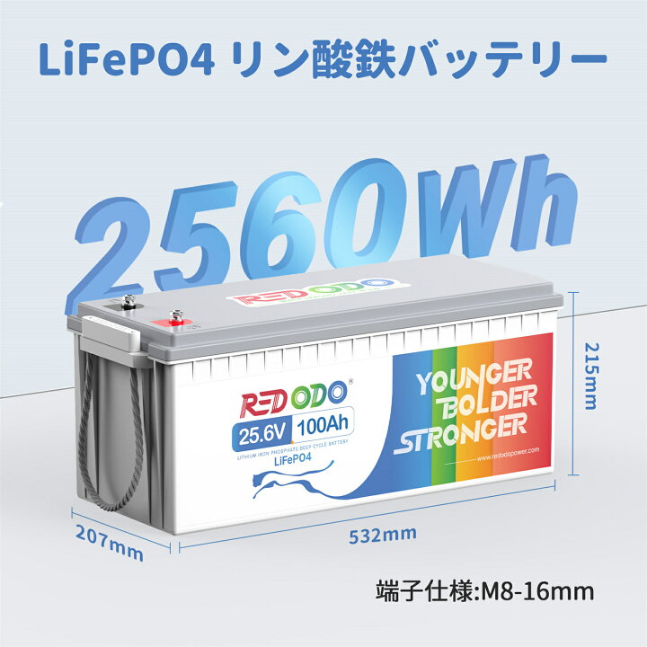 楽天市場】Redodo 24V 100Ahリン酸鉄リチウムイオンバッテリー 2560Wh 