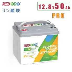 【全商品5倍ポイント】Redodo 12V 50Ah PRO リン酸鉄リチウムイオンバッテリー 640Wh 10年寿命 軽量 小型化12v LiFePO4 BMS保護 充放電サイクル4000回以上 RV キャンピングカー キャンプ ボート アウトドア活動 防災対策 ソーラー蓄電 PSE技術適合