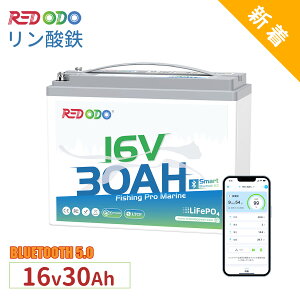 yViIBluetooth&ቷیzRedodo 16V 30Ah _S`ECIobe[ Bluetootht ቷی AvΉ 480Wh AZ 10N QTm@ɍœK IP65 zd