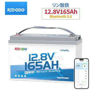 �yNEW!65%�e�ʃA�b�v!�zRedodo 12V 165Ah�����_�S���`�E���C�I���o�b�e���[ Bluetooth���� �ቷ�ی� 2112Wh��e�� �O���[�v31�݊� �R���p�N�g�݌v ���^�y�� RV �L�����v �g���[�����O���[�^�[ �I�t�O��