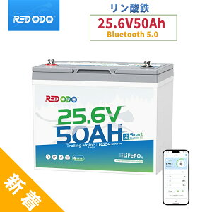 �y�g���[�����O���[�^�[�p�œK�I�zRedodo 24V 50Ah �����_�S���`�E���C�I���o�b�e���[ Bluetooth�t�� �g���[�����O���[�^�[�o�b�e���[ �ő�100�|���h�܂ł�24V�g���[�����O���[�^�[�p �D�p �}����