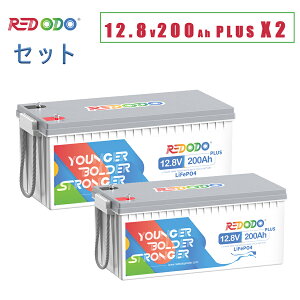 Redodo 2Zbg 12V 200Ah Plus _S`ECIobe[ 2560Wh 200ABMS 10N [dTCN4000ȏ 12V LiFePO4 2560W eʊg\ _S`Edr LsOJ[ Tu