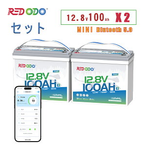 Redodo 2�Z�b�g 12V 100Ah Mini �����_�S���`�E���C�I���o�b�e���[ Bluetooth�t�� �ቷ�ی� 100A BMS 4000��ȏ�̃T�C�N�� ���^ �y�� �A�v���Ή� 1280Wh �ő�4P4S10�N���� �Ԓ��� �L�����v �I�t�O���b�h ��